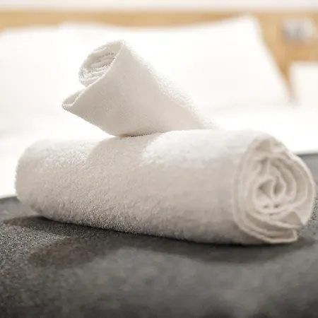 公寓 White Cozy Flat In Donostia